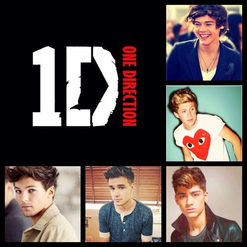 FanOfThe1D's profile picture. 