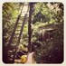 Benjamin Limal (@benlimal) Twitter profile photo