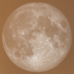 LunarPlantApp's profile picture. Lunar Planting App & Planner - schedule your planting by the moon! Tweets by Tim who built the app. Download on iTunes: http://t.co/QRvYT4BD8X