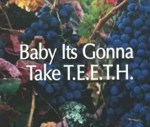 RTsVineyard's profile picture. Rebecca Torres - https://t.co/uft8MjVGdx - @ECBeachLife Time - Effort - Energy - Tenacity - Hardwork