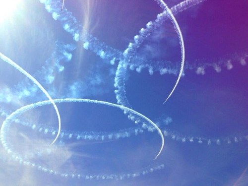適当に一生懸命、自由になすがまま。
