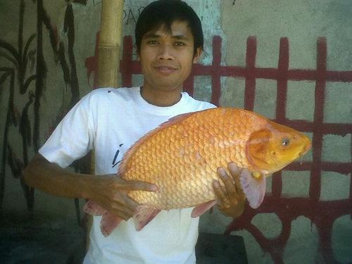 Selalu bersyukur akan nikmat hidup  Ɣªήğ ªϑa