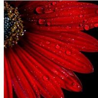 Elvia_GRTICERC (@gelvis_2011) 's Twitter Profile