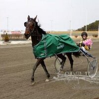 Terje Rostd (@terjerostd) 's Twitter Profile