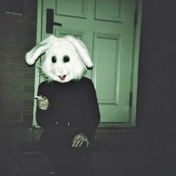 Novio de @AveSitaBilis. Empezad a hackearme el rabo. Cortacésped, os quito los pelos del chichi a domicilio mamis. Si cristo estornudase yo le diría ¡JESÚS!.