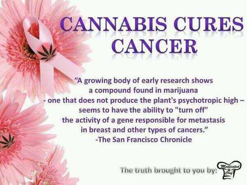 tweeting medical and recreational Marijuana related news when I can, where I can, and how I can.