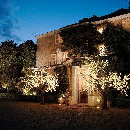 Beautiful, lifelike, LED trees to transform any space indoors or outdoors