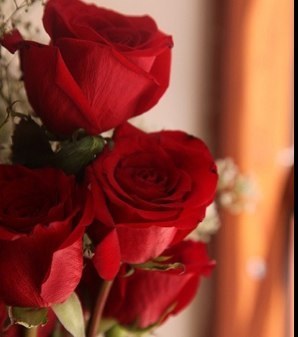 qodumytyfat's profile picture. فيني شموخ الخيل ومعاند الزير يعني شموخ الوايليه من يطوله