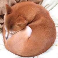 壁井ユカコ (@kabe_yuka) Twitter profile photo