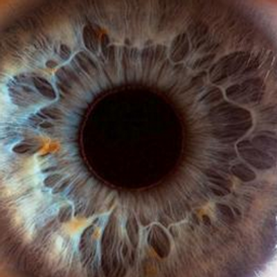 Micro Photos Une Langue De Chat Au Microscope Http T Co Tgrwef3kkm Twitter