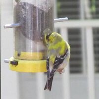 kratzy1 (@kratzy1) 's Twitter Profile Photo