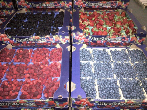 Growers of quality fresh Strawberries, Raspberries, Blackberries, & Blueberries
