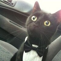 Fabian Pagel (@fabianruns) Twitter profile photo
