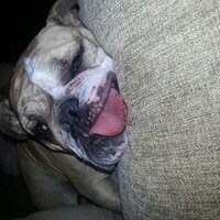 Philip LeBlanc (@leblancphilip) 's Twitter Profile