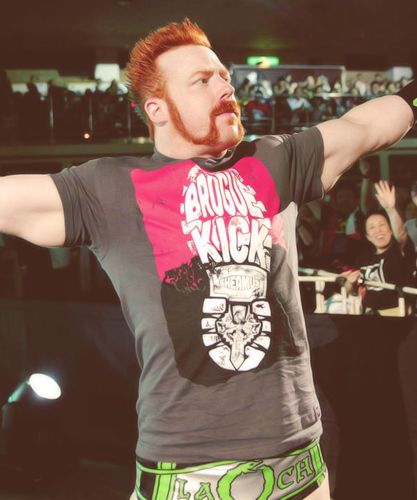 WWE lover, @WWESheamus' fan
