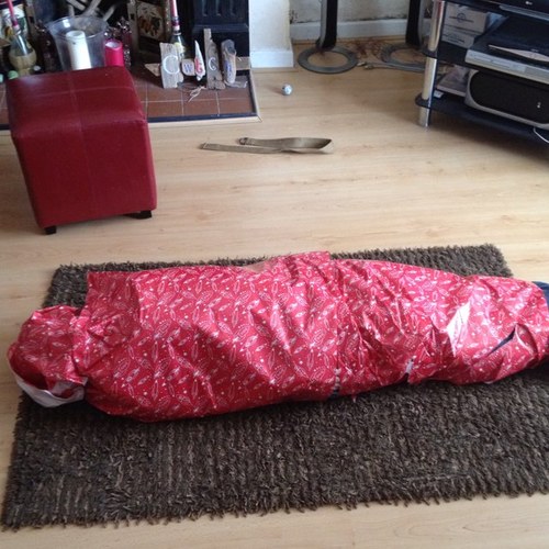 ShivaunMcGuckin's profile picture. 