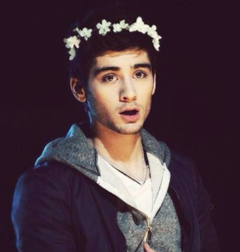 Liams_head's profile picture. this is a free follow hai