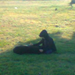 crazy_pandacorn's profile picture. Being a pandacorn