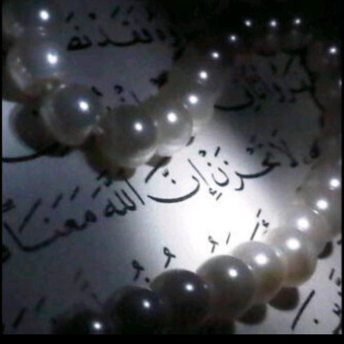 ksaksa725's profile picture. 