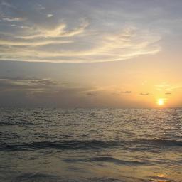 CarrieBootcheck's profile picture. 