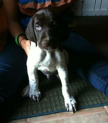 AlbertSpena's profile picture. 