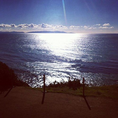 SXBmom's profile picture. 