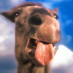 CHISTESCUCHOS's profile picture. ¡¡Si no te gusta no importa  ya viene uno mejor!!