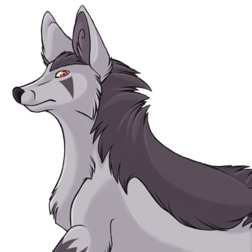 Mightyena named Scar. Doesn't trust humans. Solitude nature. Moveset: Crunch, Dark Pulse, Bite, Faint Attack. Wild. Single.