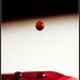 AMNA-SHABI (@sda1430) Twitter profile photo