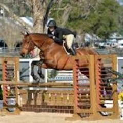 Showing horses since the bows days, typical barn bitch, teenager, always in it to win it