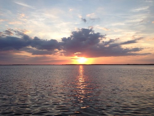 FlipFelicity's profile picture. 