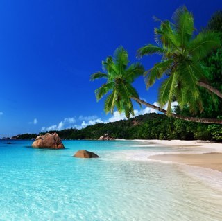 horsehack1000's profile picture. I like Minecraft. A LOT. Especially Mountainview.