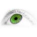 BigEye Photography (@bigeyephotos) Twitter profile photo BigEye Photography (@bigeyephotos) Twitter profile photo