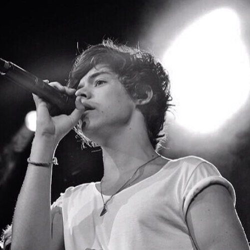 pecheniall's profile picture. free follow from @niallrosy so pls follow me on there & I might follow you back there too :) ily