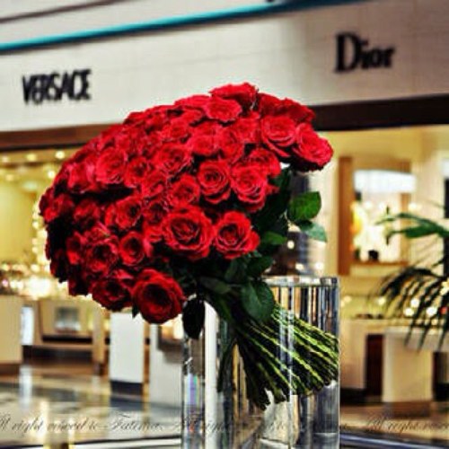 fryonb145's profile picture. 