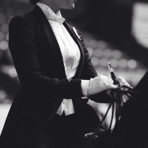 its tough being famous sometimes Saddleseat Equitation.