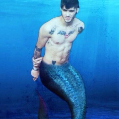 Please follow me back at @zayncola or @timelordlouis ! If you follow I love you