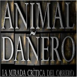 Trabajadores adherentes al Sindicato Mexicano de Electricistas abren el debate en este nuevo programa llamado Animal Dañero buscanos en youtube en face y blog