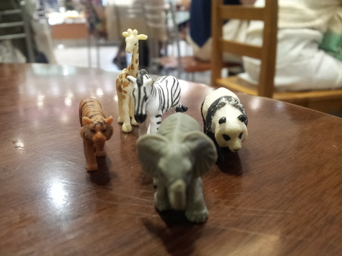 viva_JSH's profile picture. ?