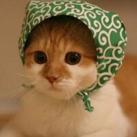 halohalo (@nhalohalo) Twitter profile photo