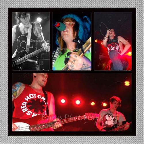 Concert photography from horror rock bands such as Snow White's Poison Bite to electronic bands such as Blood On The Dance Floor and Consider Me Dead.