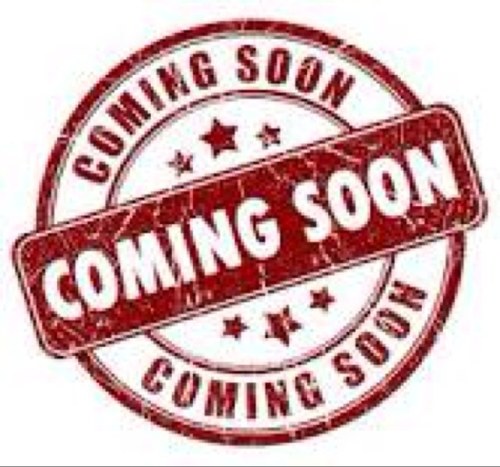 Upcoming Personal Trainers