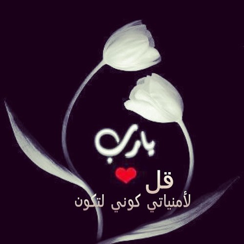 dhivhx's profile picture. ياحبيب من لا حبيب له
ياطبيب من لاطبيب له