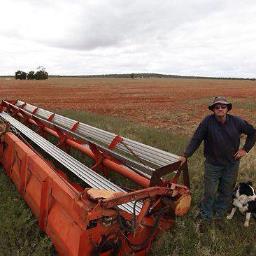 Farmer in central NSW Australia.  Plums, wine grapes, beef cattle, wheat, fat lambs & Hay carting , I am a ambasidor fo RUOK mate for rural NSW.