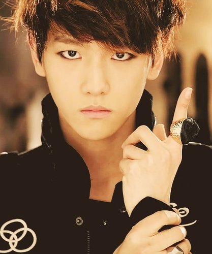I'm a one member of ather member exo |Wolf88 |Mama |History¤