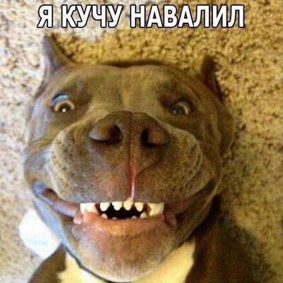 Упрт Какаха :D (@Kakaha1234) / X