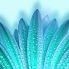 Of all parts of wisdom the practice is the best.-John Tillotson