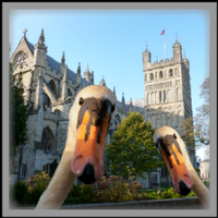 Love Exeter (@iloveexeter) 's Twitter Profile