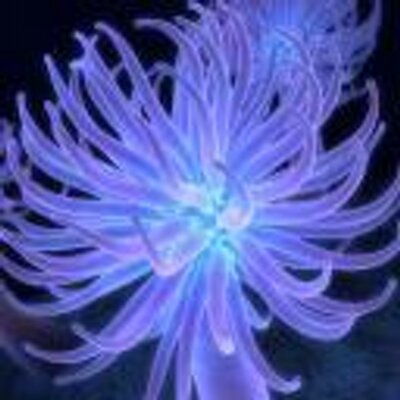 Profile Picture of Paula Ewart (@PaulaEwart1) on Twitter