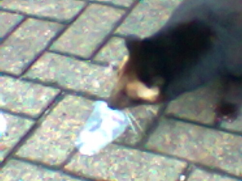 aldyrivaldy12's profile picture. Kepo lu